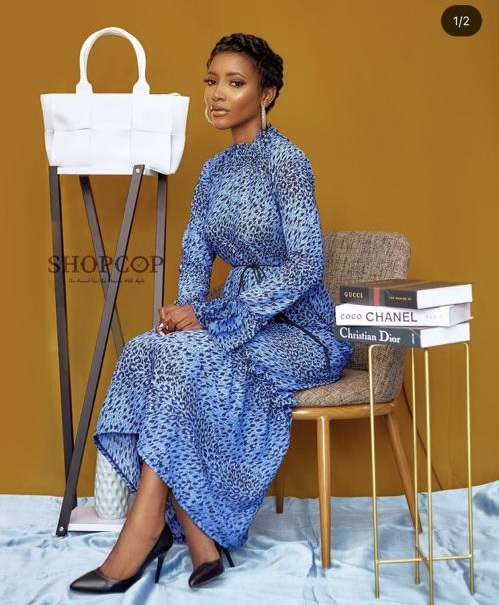 Classic Blue Tiger Print Dress - Code 047